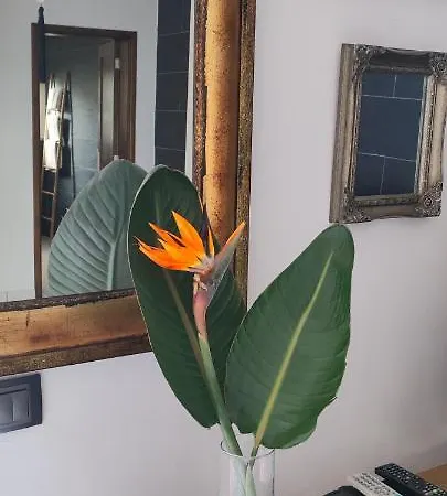 別荘 Casa Sandra En Norias Todoque Con Wi-fi *
