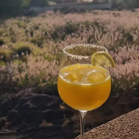 Holiday home Casa Sandra En Norias Todoque Con Wi-fi Los Llanos De Aridane